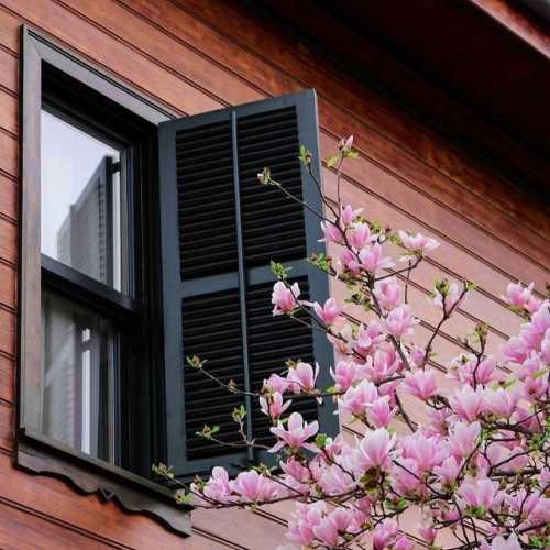 دانلود آهنگ شکوفه میرقصد از باد بهاری