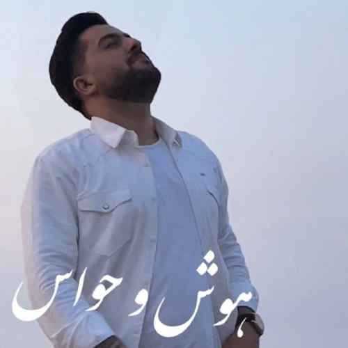 دانلود آهنگ مجید حسینی هوش و حواس دانلود آهنگ مجید حسینی هوش و حواس