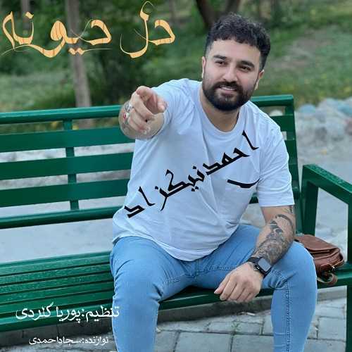 دانلود آهنگ احمد نیکزاد دل دیونه دانلود آهنگ احمد نیکزاد دل دیونه