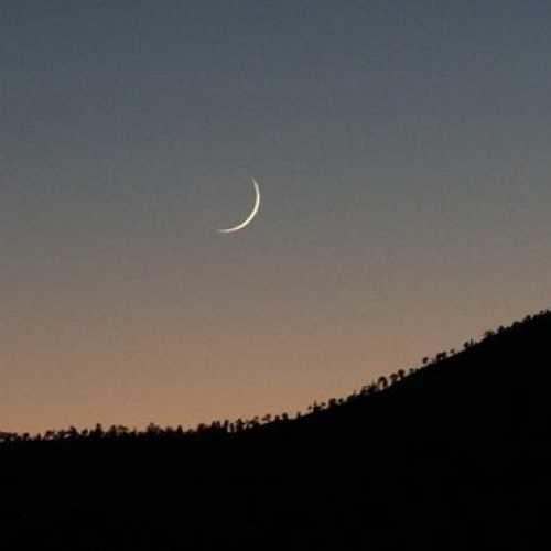 دانلود مداحی حاتم امشب میشینه در خونه دانلود مداحی حاتم امشب میشینه در خونه