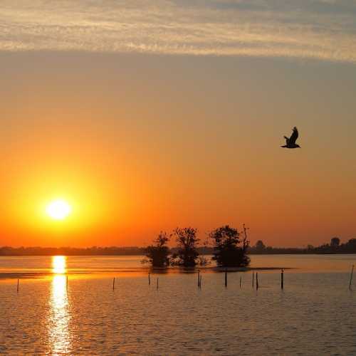 دانلود آهنگ تیکه تیکه