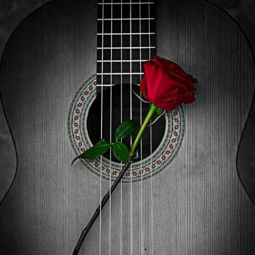 دانلود آهنگ روبه قبله مو روی پله مو دانلود آهنگ روبه قبله مو روی پله مو