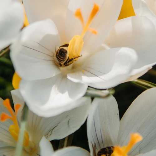 دانلود آهنگ شنبه یکشنبه دوشنبه ریمیکس دانلود آهنگ شنبه یکشنبه دوشنبه ریمیکس