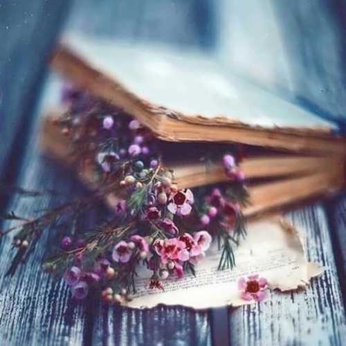 دانلود آهنگ سارا بلاسکو All I Want