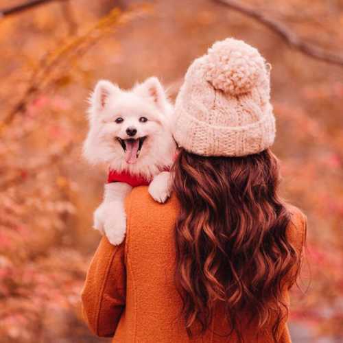 دانلود آهنگ کیمیا چته دانلود آهنگ کیمیا چته