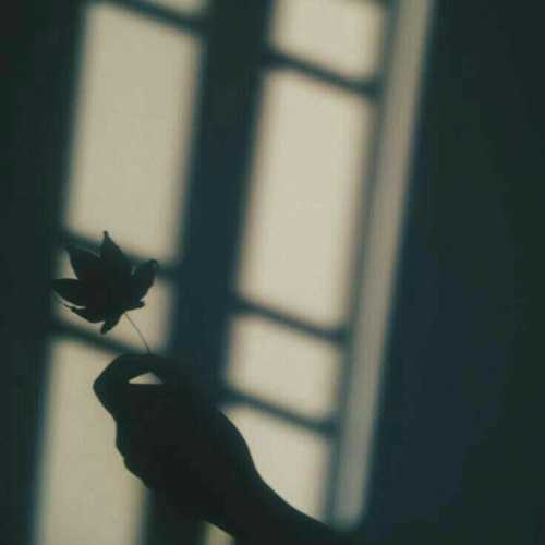 دانلود آهنگ شری ام ترب بیز