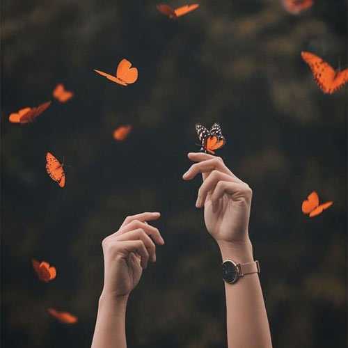 دانلود آهنگ ایسم انگار دانلود آهنگ ایسم انگار