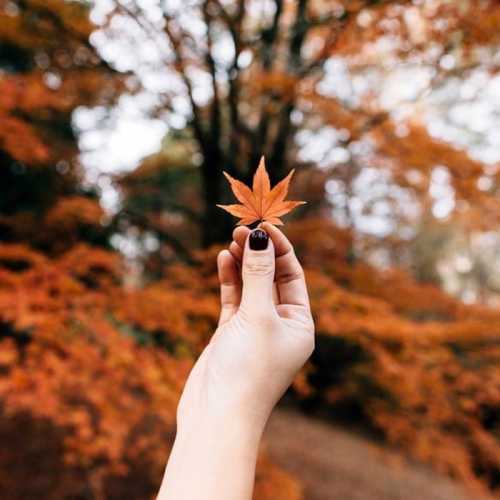 دانلود آهنگ پاییزش چه قشنگه