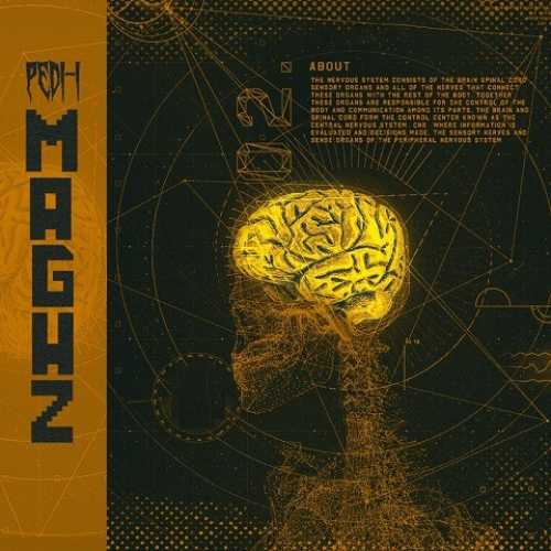 دانلود آهنگ پدی آی مغز دانلود آهنگ پدی آی مغز