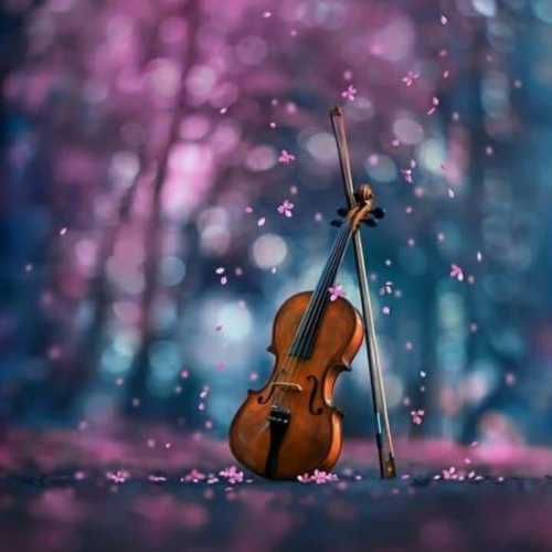 دانلود آهنگ احلام محبوب قلبم دانلود آهنگ احلام محبوب قلبم