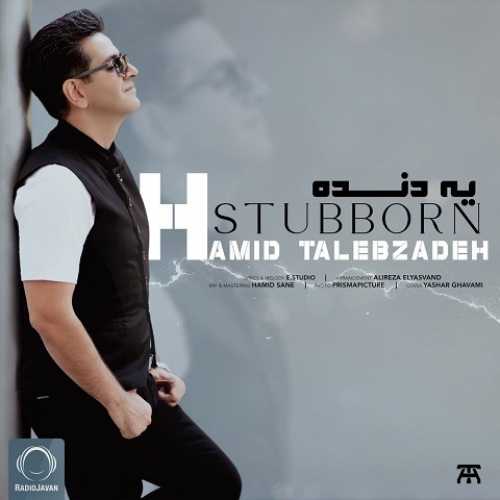 دانلود آهنگ حمید طالب زاده یه دنده