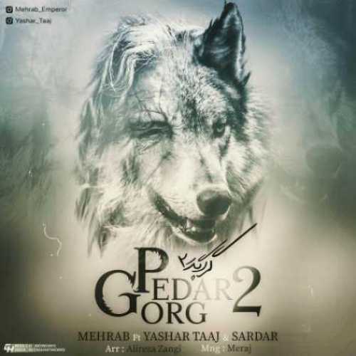 دانلود آهنگ مهراب گرگ پدر 2 دانلود آهنگ مهراب گرگ پدر 2
