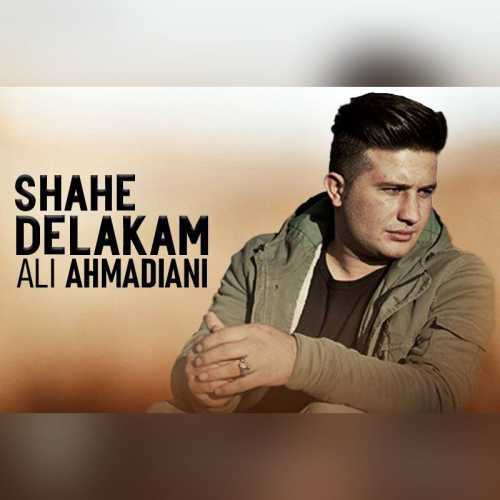 دانلود آهنگ علی احمدیانی شاه دلکم دانلود آهنگ علی احمدیانی شاه دلکم