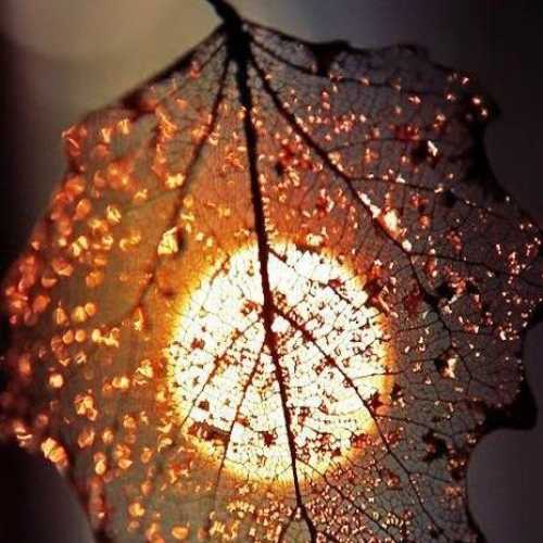 دانلود آهنگ آهای سیاه زنگی دلمو نکن خون دانلود آهنگ آهای سیاه زنگی دلمو نکن خون