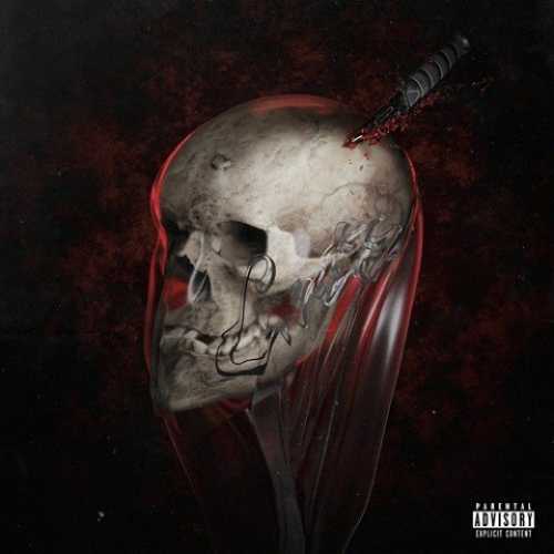 دانلود آهنگ پوریا آدرویت فک کج دانلود آهنگ پوریا آدرویت فک کج