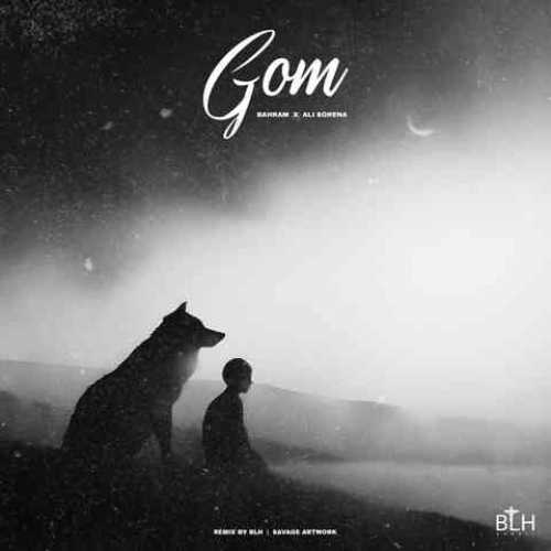 دانلود ریمیکس گم از بهرام و علی سورنا