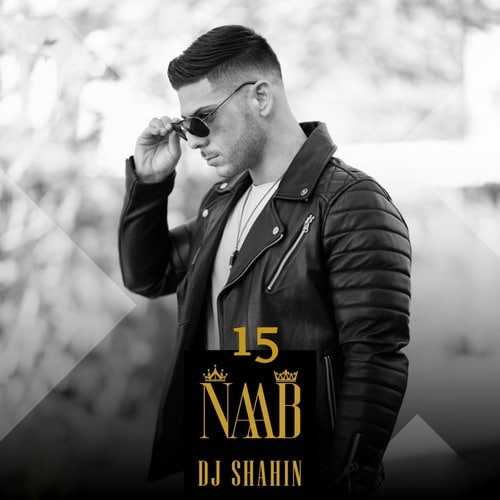 دانلود ریمیکس دیجی شاهین ناب 15